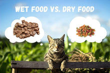 Load image into Gallery viewer, Cats Premium Wet Food 85g Pouch — Moist, Soft Cat Food Mixer, Topper and Rotational Meal (Pack of 12, Chicken Flavor)