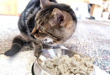 Load image into Gallery viewer, Freeze Dried Chicken Powder & Chunks Food Topper for Cats and Dogs 2oz (57g) Tasty Chews with Single Ingredient