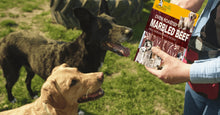 Load image into Gallery viewer, Marbled Beef Strips Oven Roasted Dog & Cat Treats Food 3.1oz (~90g)