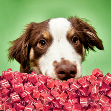 Load image into Gallery viewer, Marbled Beef Cubes Oven Roasted Dog & Cat Treats Food 3.1oz (~90g)