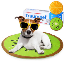 Load image into Gallery viewer, Traumeel Gel 50g Homeopathic Topical Cream | Animals: Cats, Dogs, Horses. Veterinary Formula by Heel Vet