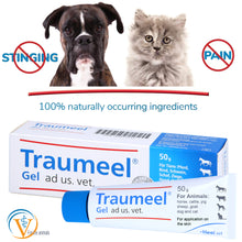 Load image into Gallery viewer, Traumeel Gel 50g Homeopathic Topical Cream | Animals: Cats, Dogs, Horses. Veterinary Formula by Heel Vet