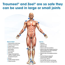 Load image into Gallery viewer, Traumeel S 30ml Liquid Drops Homeopathic Pain Relief Medicine