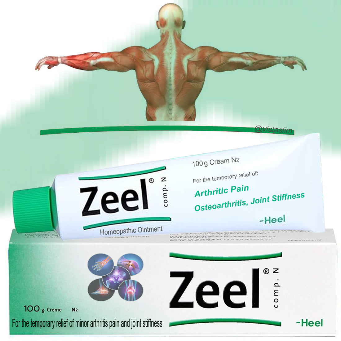 Zeel Homeopathic 100g Cream For Temporary Relief of Arthritis Pain & J