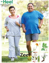 Load image into Gallery viewer, Zeel Homeopathic 100g Cream For Temporary Relief of Arthritis Pain & Joint Stiffness