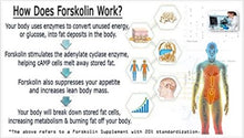Load image into Gallery viewer, Forskolin 100% Pure Extra Strength 3000mg (Pack of 3) EXTREME APPETITE SUPPRESSANT