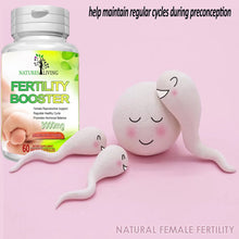 Load image into Gallery viewer, VistaSlim Fertility Boost 60 Capsules Reproductive Health Supplement &amp; Hormonal Balance
